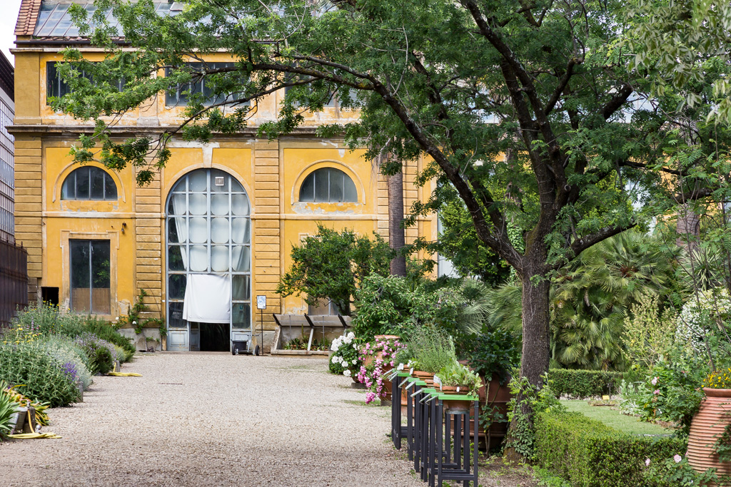 Firenze: Orto Botanico.